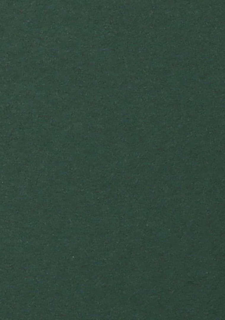 Layer Diary 표지 — Racing Green